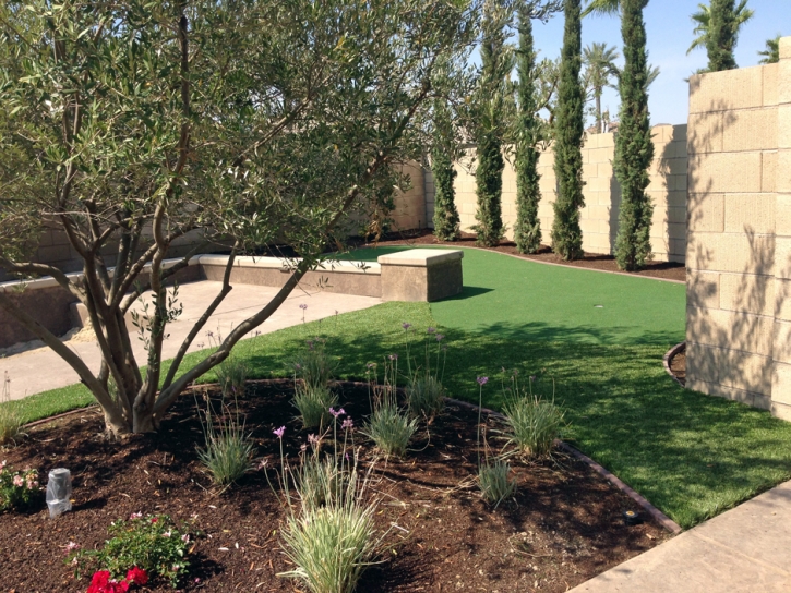 Fake Turf La Presa, California Garden Ideas, Backyard Makeover