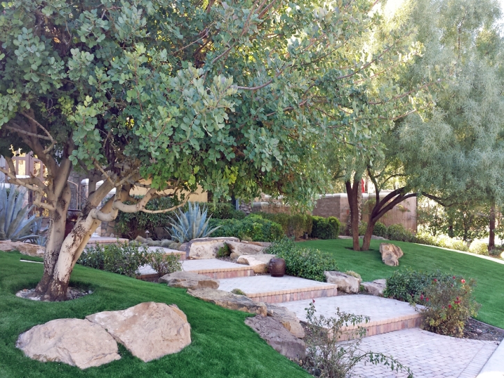 Fake Turf La Presa, California Roof Top, Small Backyard Ideas