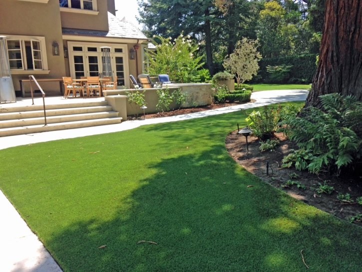 Fake Turf La Presa, California Lawns, Backyard Garden Ideas