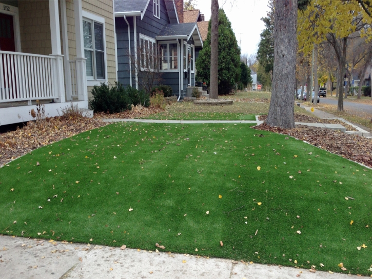 Fake Turf Lakeside, California Landscaping Business, Front Yard Design