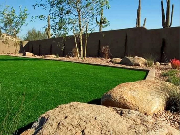 Fake Turf National City, California Landscaping, Backyard Ideas