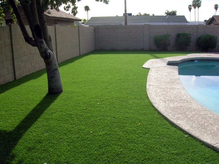 Fake Turf Niland, California Landscape Rock, Backyard Landscape Ideas