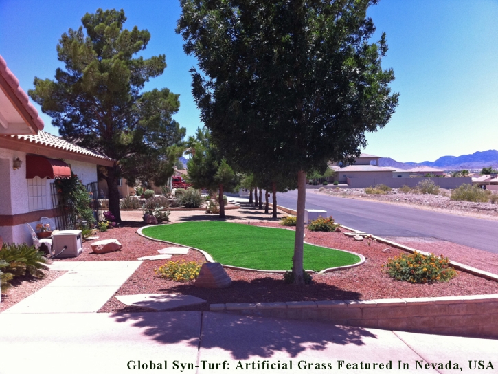 Fake Turf Niland, California Lawns, Front Yard Landscaping