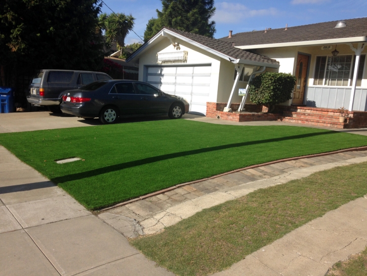 Fake Turf Pine Valley, California Gardeners, Front Yard Landscape Ideas