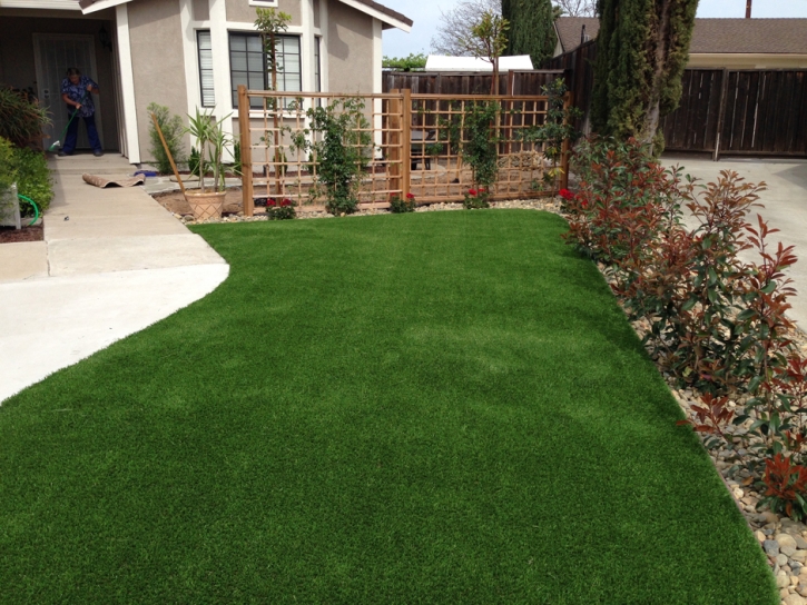 Fake Turf Potrero, California Landscape Design, Front Yard Landscaping Ideas