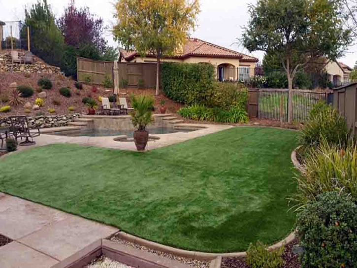 Fake Turf San Diego, California Landscape Photos, Backyard Landscaping Ideas