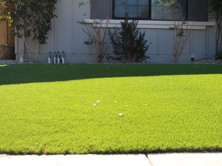 Fake Turf Vista, California Lawn And Garden, Front Yard Ideas