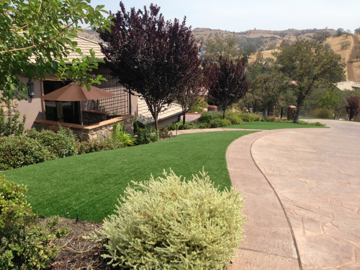 Fake Turf Westmorland, California Design Ideas, Front Yard Design