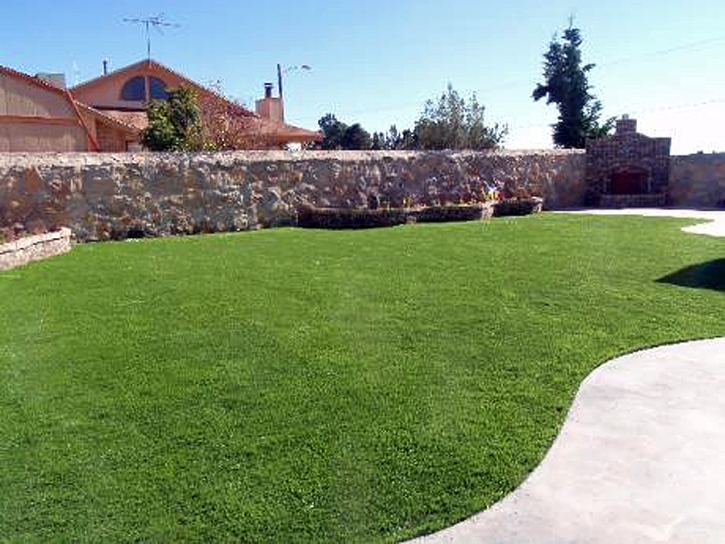 Faux Grass Bostonia, California Roof Top, Backyard Landscape Ideas