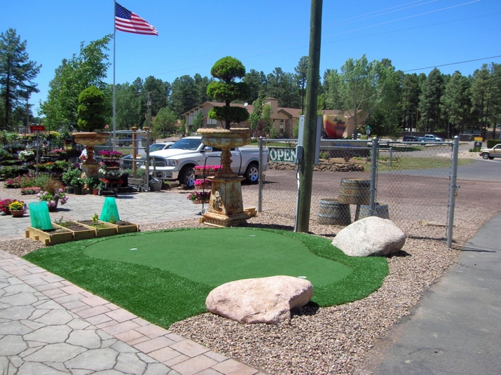 Faux Grass Oceanside, California Backyard Deck Ideas, Commercial Landscape