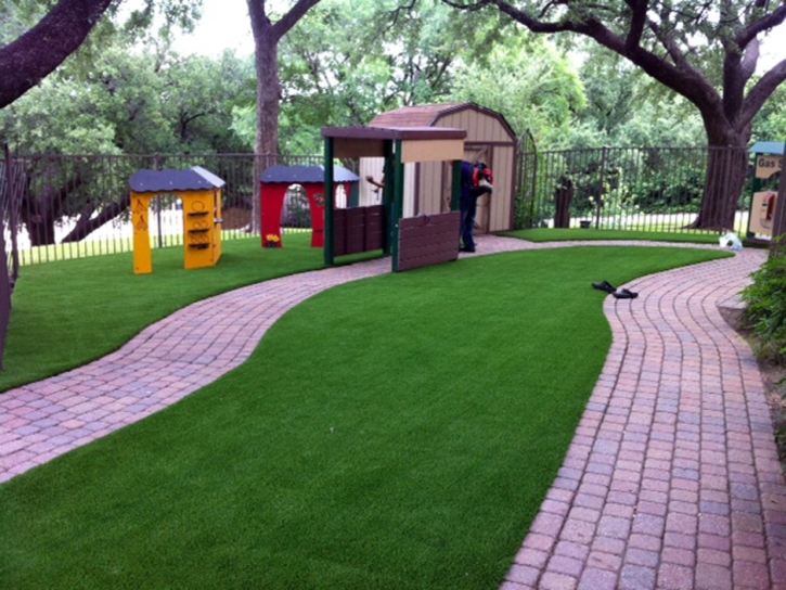 Faux Grass Pine Valley, California Roof Top, Commercial Landscape