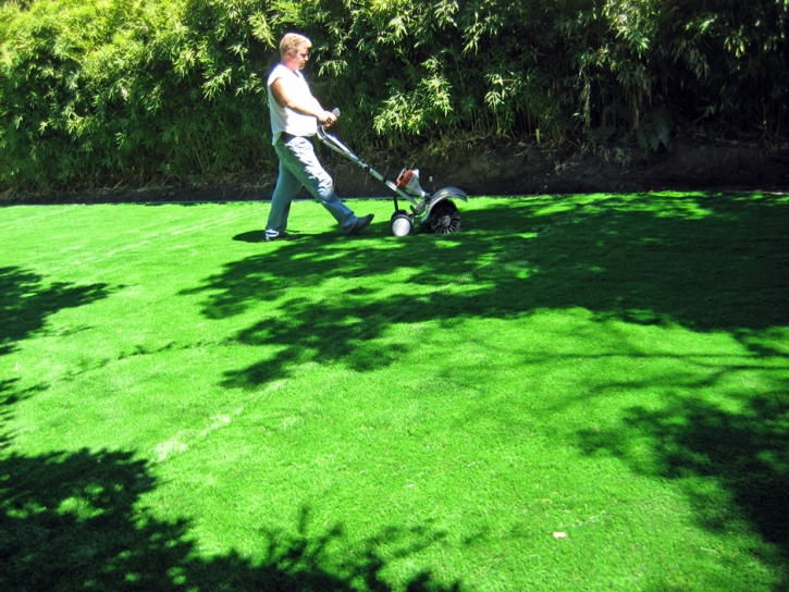 Faux Grass Salton City, California Landscaping Business, Backyard Design