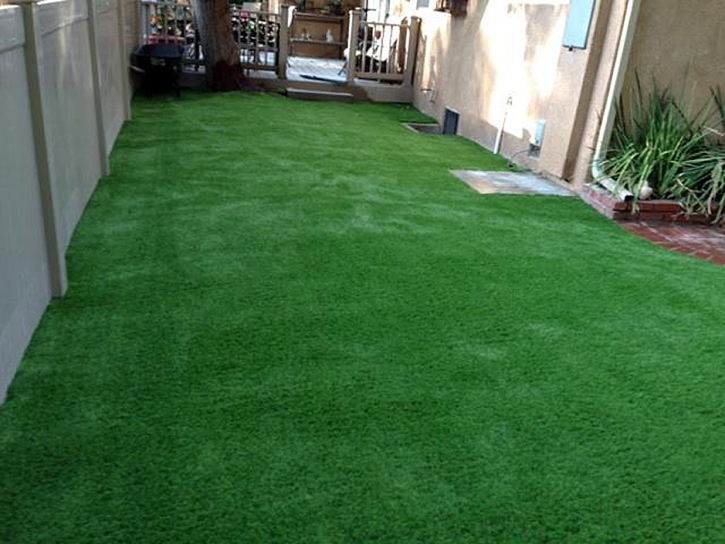 Faux Grass Seeley, California Gardeners, Backyard Landscaping