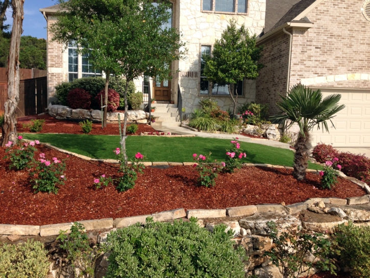 Grass Carpet Bonita, California Roof Top, Front Yard Landscape Ideas