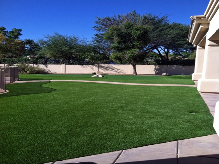 Grass Carpet Bostonia, California Gardeners, Small Front Yard Landscaping