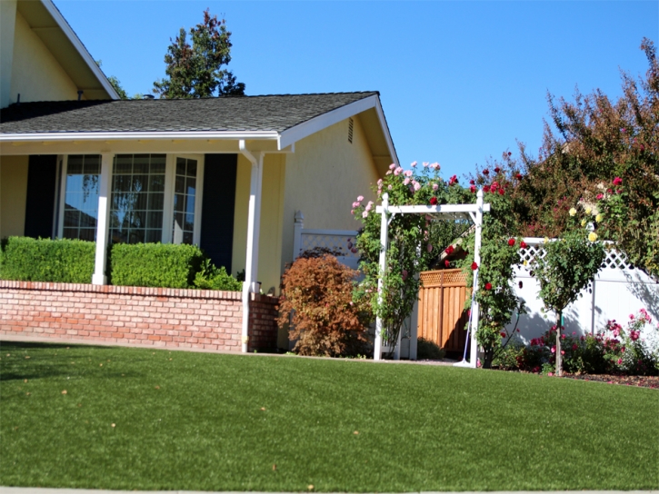 Grass Carpet Fairbanks Ranch, California Backyard Playground, Front Yard