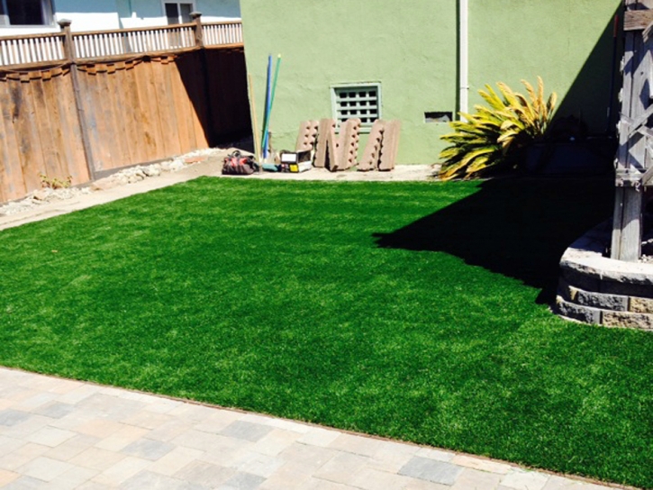 Grass Carpet Harbison Canyon, California Backyard Playground, Small Backyard Ideas