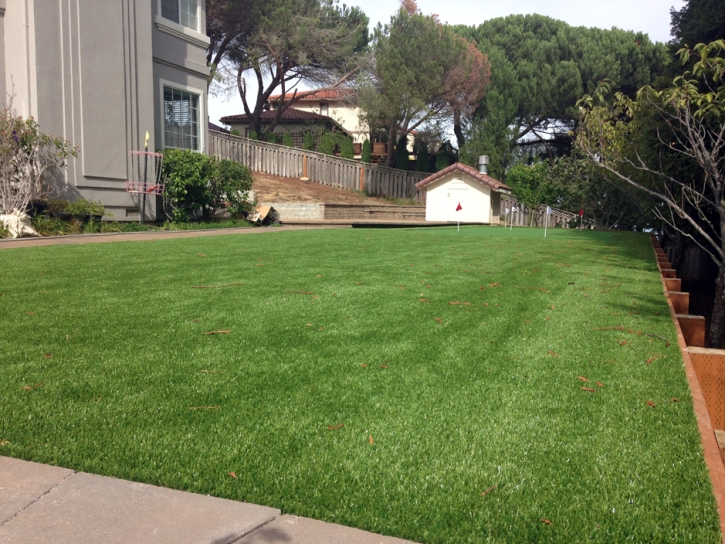 Grass Carpet Imperial, California Landscaping, Backyard Designs