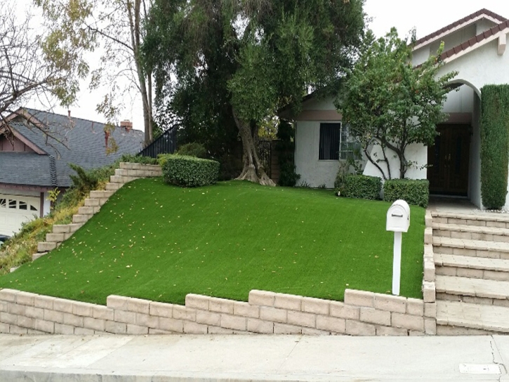 Grass Carpet Jamul, California Lawns, Front Yard Landscaping