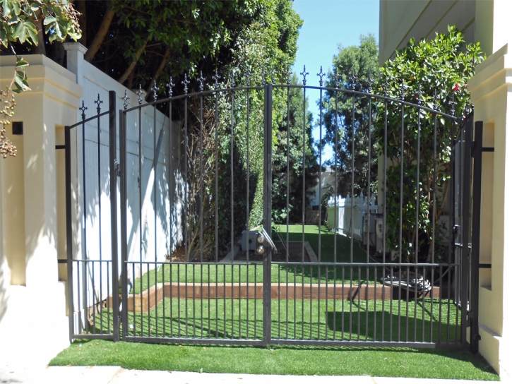 Grass Carpet La Jolla, California Landscaping Business, Small Front Yard Landscaping