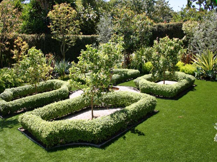 Grass Carpet La Presa, California Home And Garden