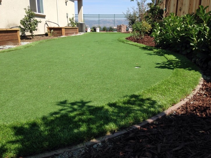 Grass Carpet Lakeside, California Lawn And Landscape, Backyard Ideas