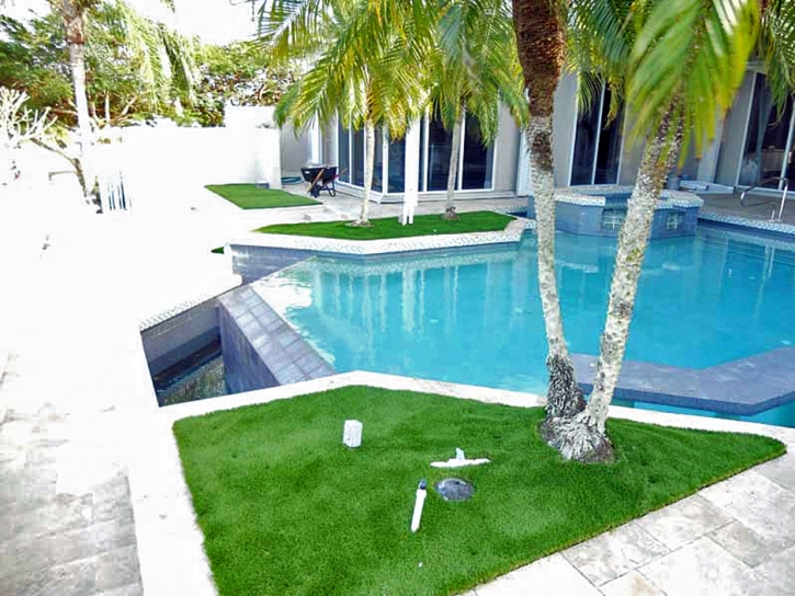 Grass Carpet Oceanside, California Garden Ideas, Backyard Design