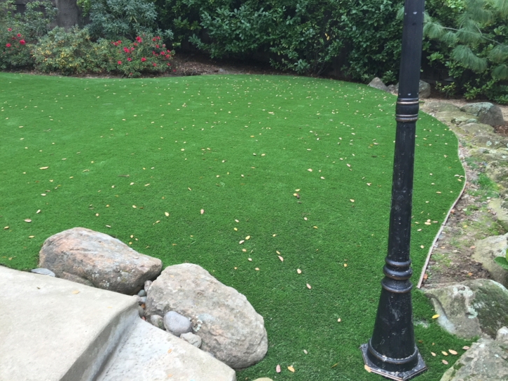 Grass Carpet Poway, California Backyard Playground, Backyard Landscaping