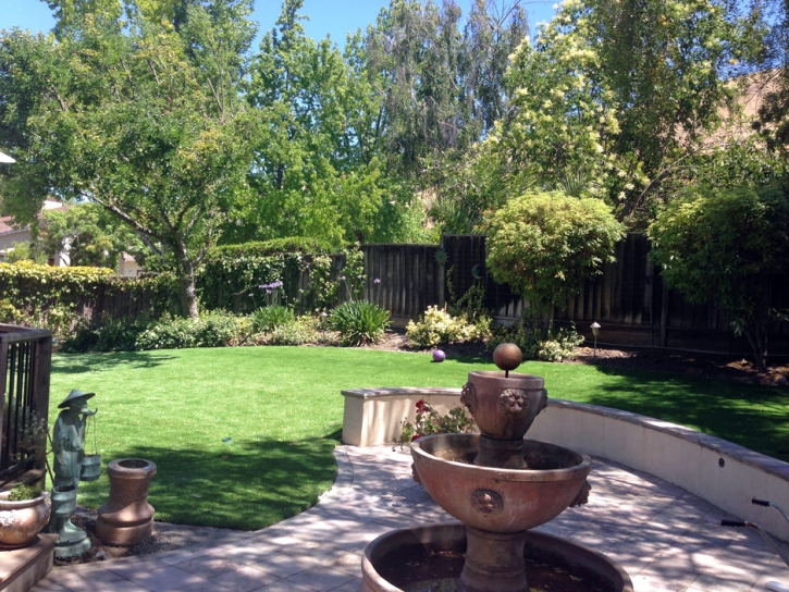 Grass Carpet Poway, California Lawn And Garden, Backyard Landscape Ideas