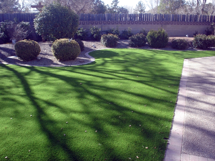 Grass Carpet San Marcos, California Gardeners, Front Yard Design