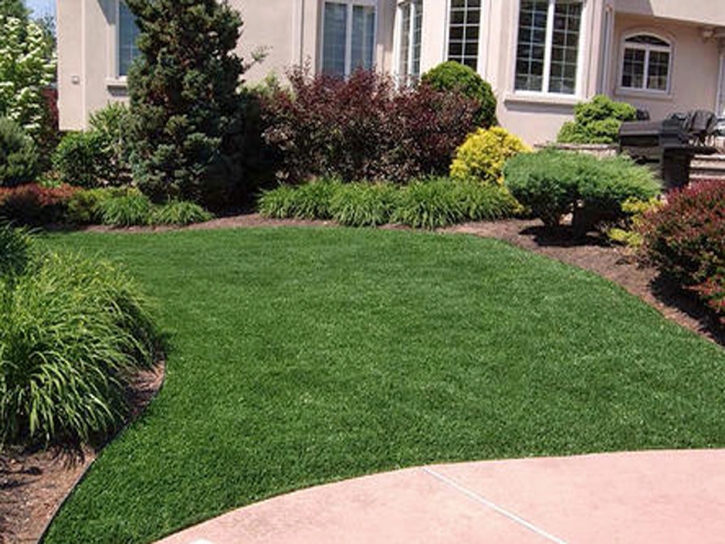 Grass Carpet Westmorland, California Roof Top, Landscaping Ideas For Front Yard