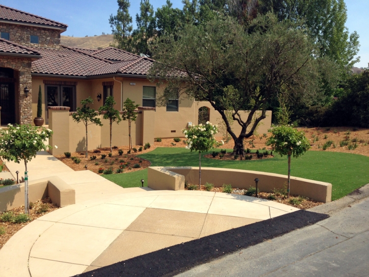 Grass Installation Julian, California Landscape Photos, Front Yard Landscaping Ideas