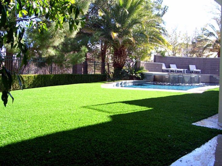 Grass Installation Spring Valley, California Landscaping Business, Backyard Makeover