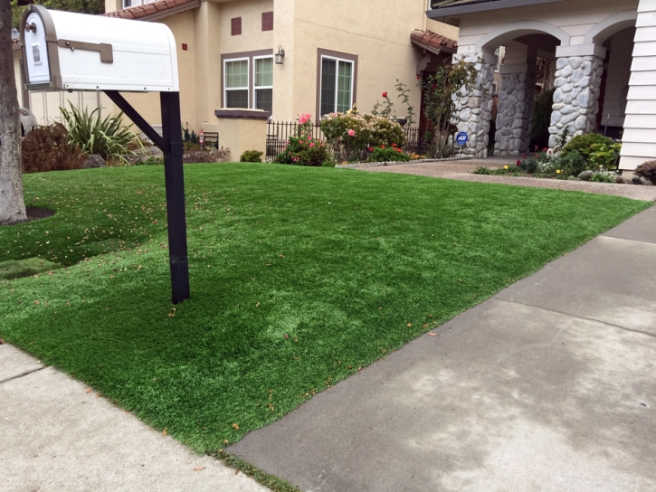 Grass Installation Spring Valley, California City Landscape, Small Front Yard Landscaping