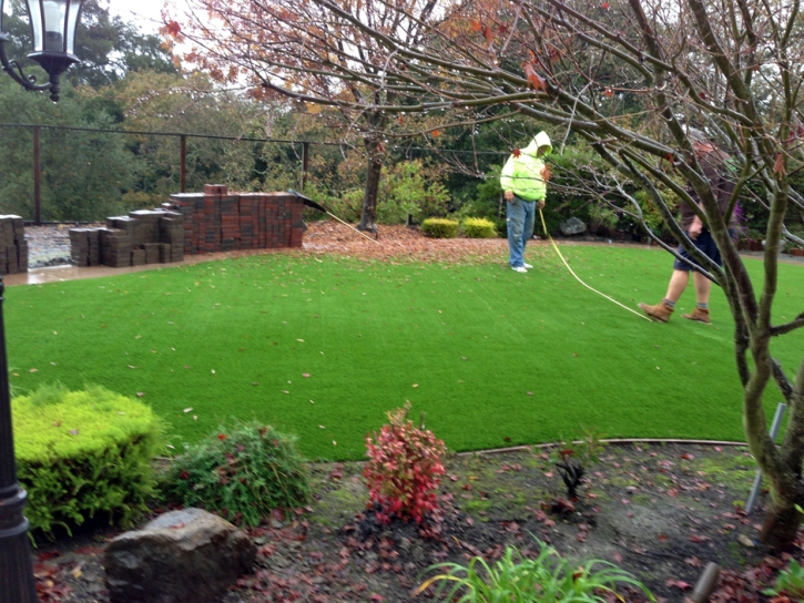 Grass Turf Calipatria, California Landscape Design, Backyard Landscape Ideas