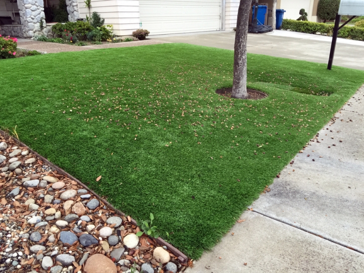 Grass Turf Carlsbad, California City Landscape, Front Yard Design