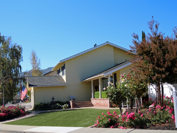 Grass Turf Desert Shores, California Backyard Playground, Landscaping Ideas For Front Yard