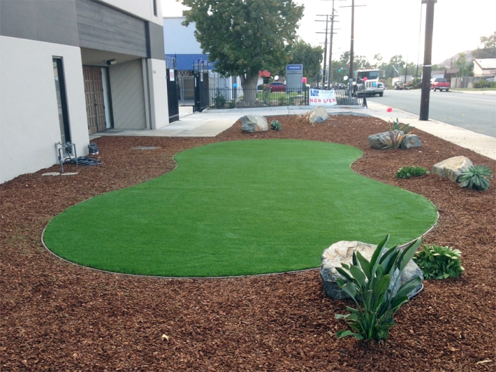 Grass Turf Escondido, California Lawns, Commercial Landscape