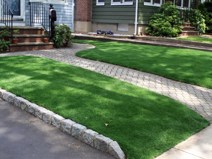 Grass Turf Fallbrook, California Roof Top, Front Yard Ideas