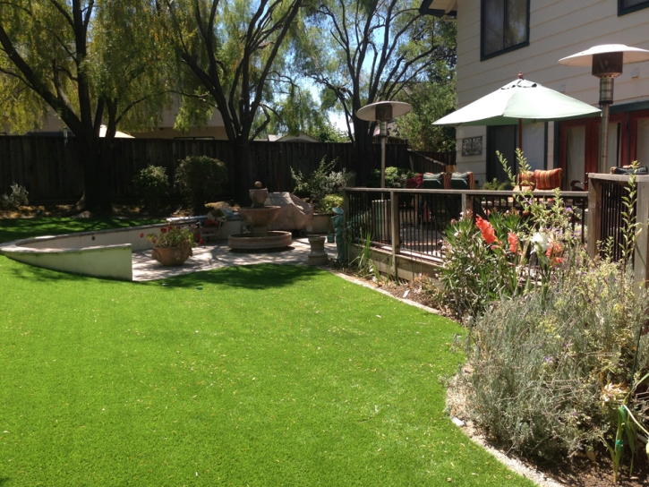 Grass Turf Heber, California Home And Garden, Backyard Designs