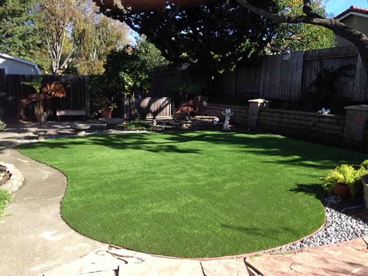 Grass Turf Heber, California Paver Patio, Backyard Landscape Ideas