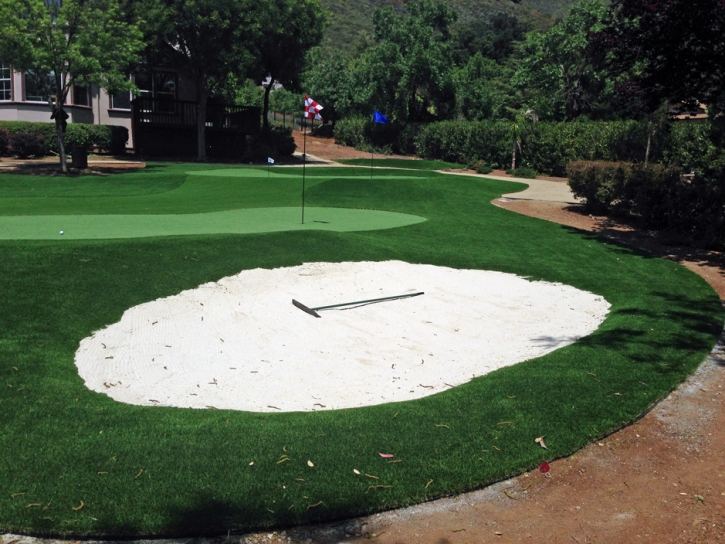 Grass Turf Imperial Beach, California Diy Putting Green, Front Yard