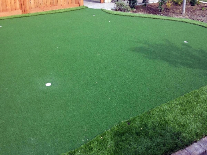 Grass Turf Jamul, California Backyard Putting Green