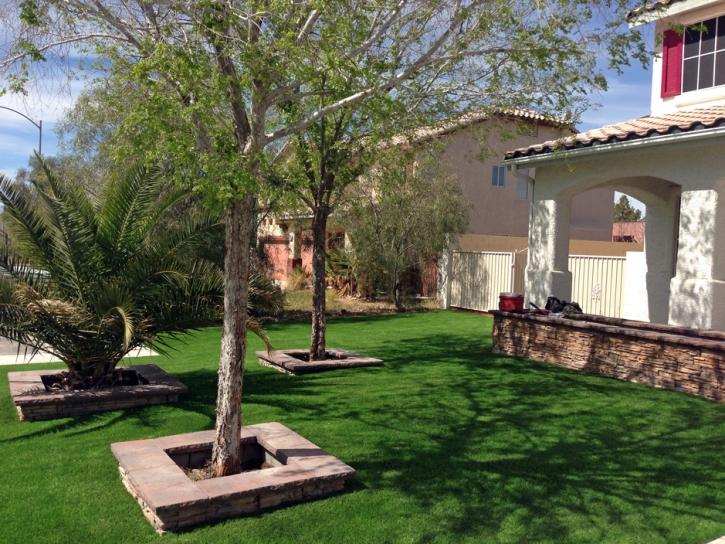 Grass Turf Lemon Grove, California City Landscape, Front Yard Landscaping