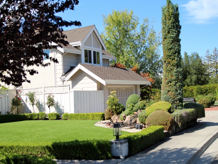 Grass Turf Pine Valley, California Lawn And Garden, Front Yard Design