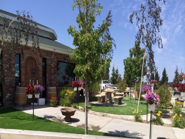 Green Lawn Del Mar, California Home And Garden, Commercial Landscape