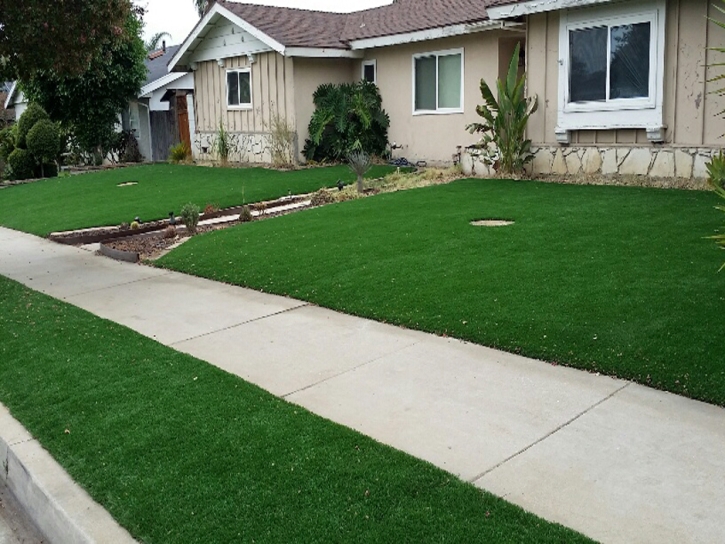 Green Lawn Del Mar, California Lawns, Front Yard Landscaping Ideas