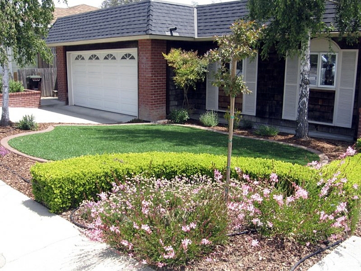 Green Lawn Lake San Marcos, California Garden Ideas, Front Yard