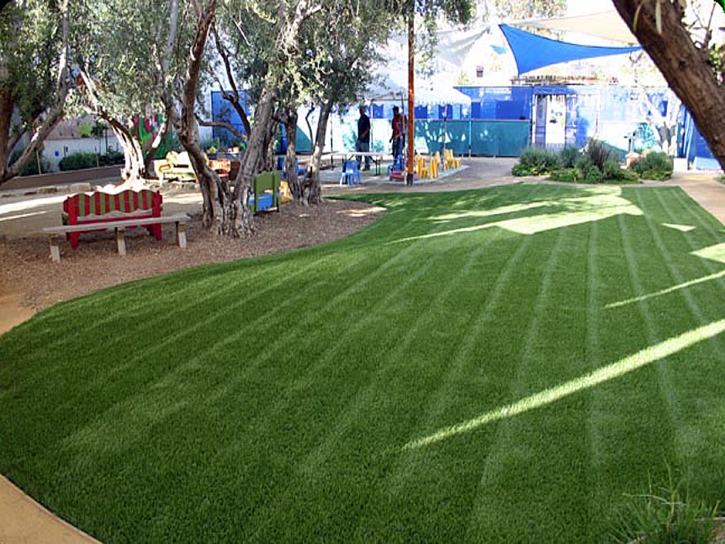 Green Lawn National City, California Landscape Design, Commercial Landscape