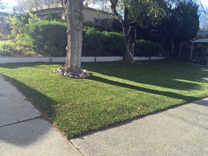 Green Lawn Vista, California Gardeners, Front Yard Landscape Ideas